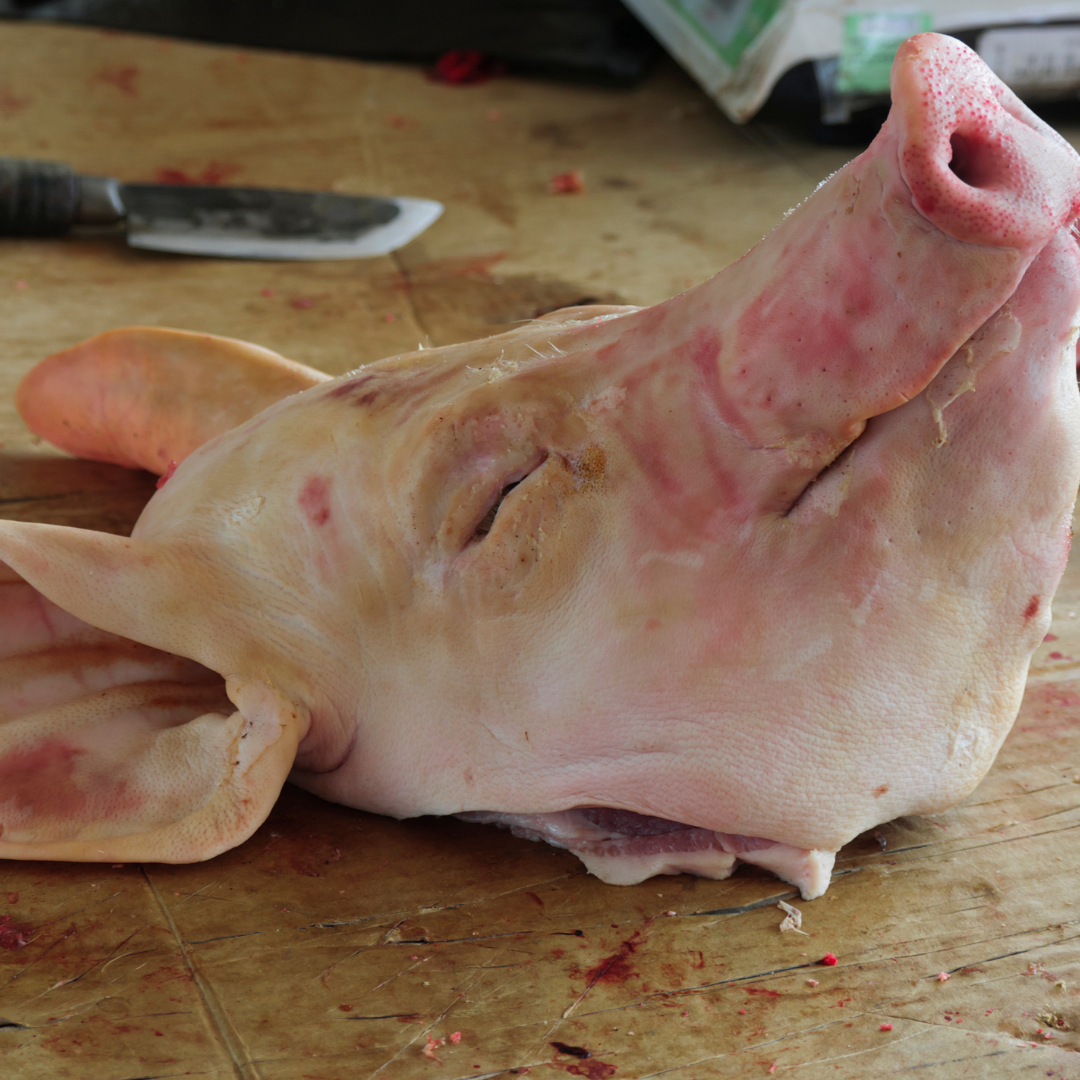 PREORDER ONLY: Pigs Head