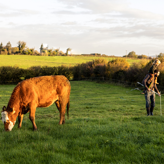 What is Holistic Planned Grazing?
